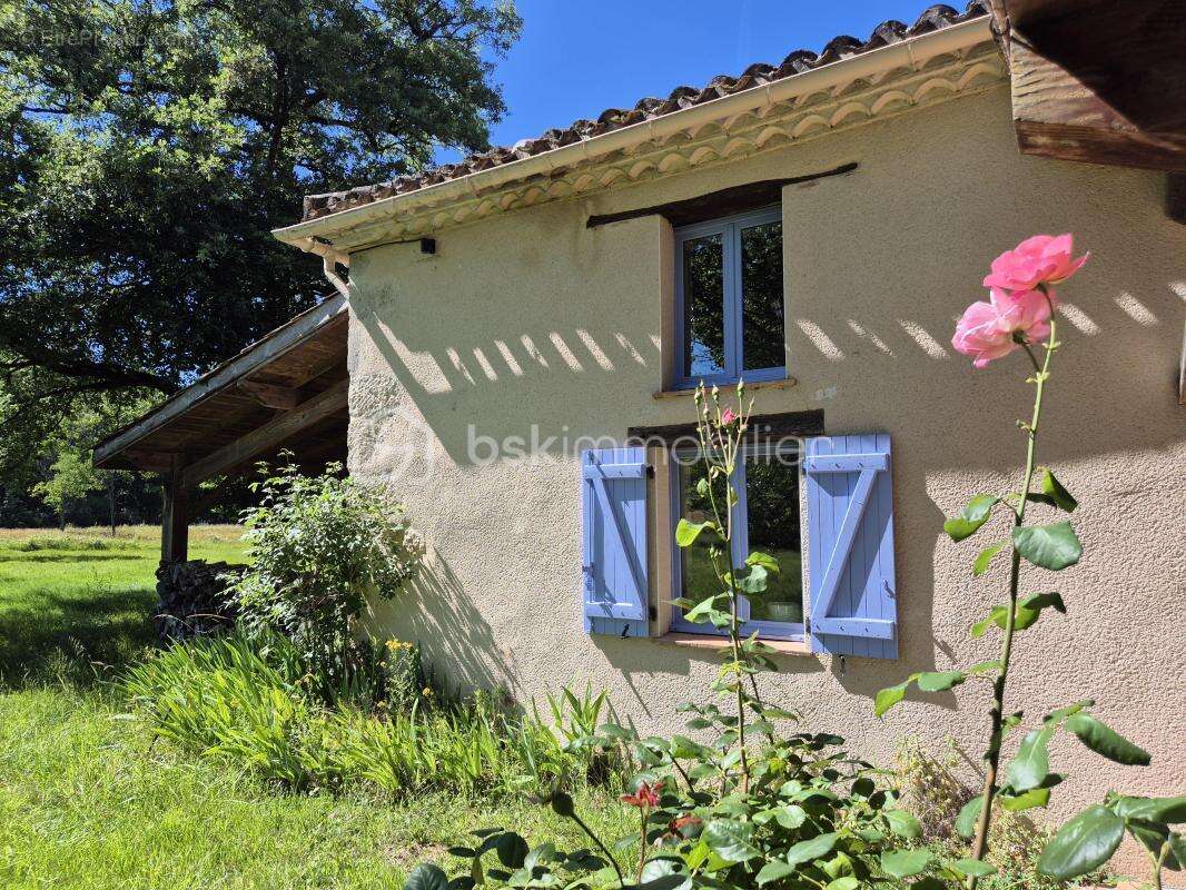 Maison de campagne 158m² avec piscine et grand terrain - photo 6