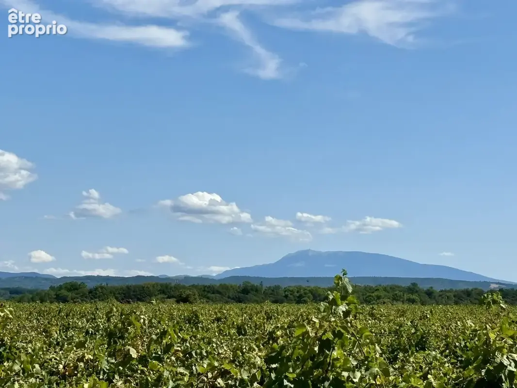 Exceptionnel!  a grignan , superbe mas en pierres avec piscine. - photo 45