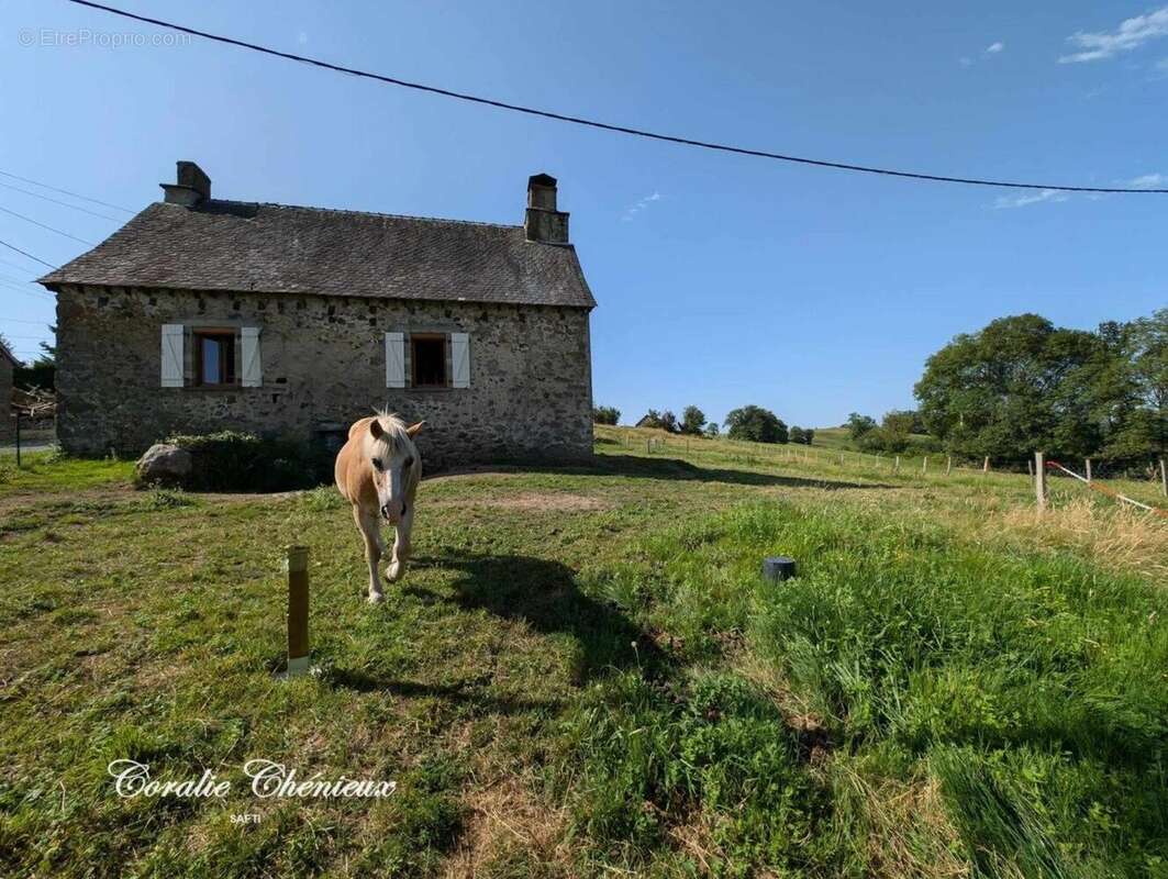 Photo 8 - Maison à BASSIGNAC
