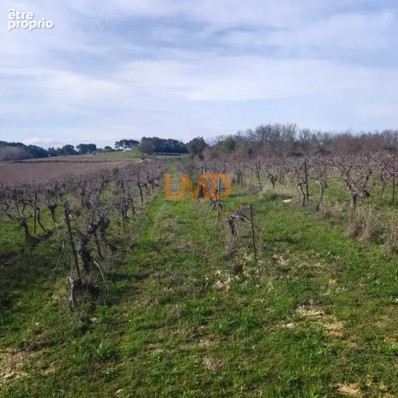 Terrain Agricole et de Loisir - Nature et grand espace - photo 7