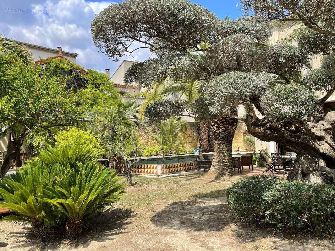 Photo 4 - Maison à ABEILHAN