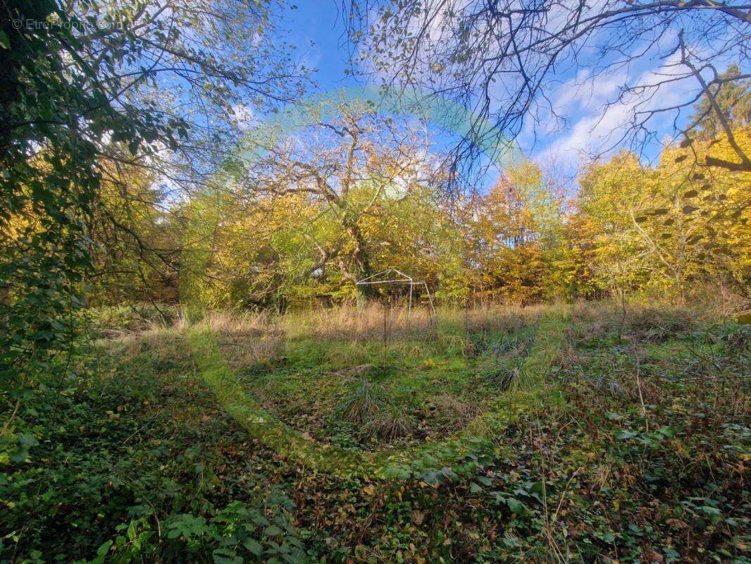 Terrain à BETHEMONT-LA-FORET