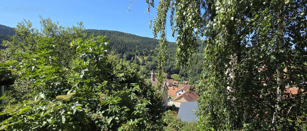 Natzwiller, exceptionnel, terrain à bâtir sur les hauteurs : projet de construction « Prêt à démarrer » avec v - photo 15