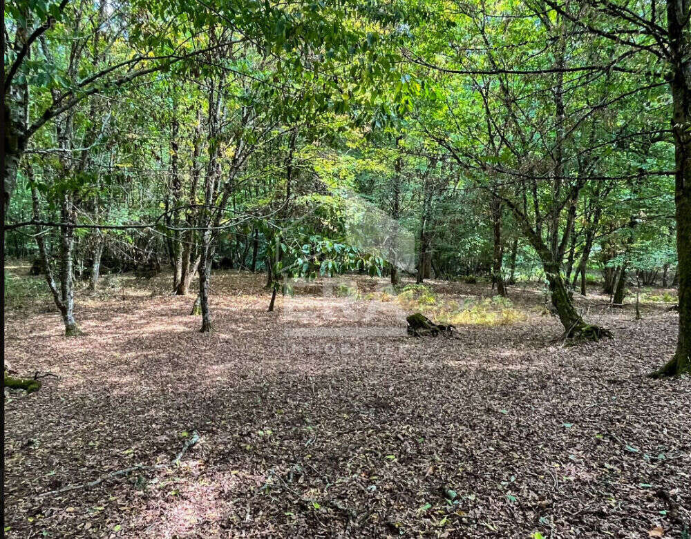 Maison à MONTPON-MENESTEROL