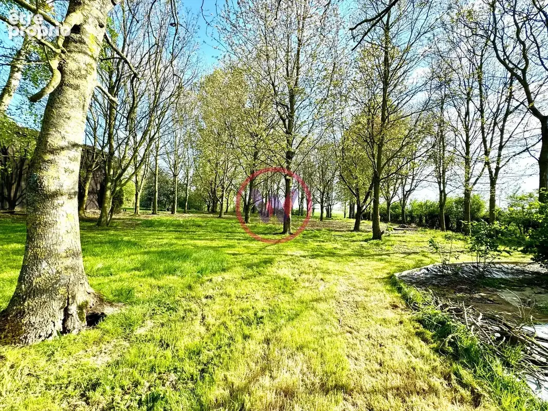 Belle maison double distribution axe Arras-Bapaume - photo 8