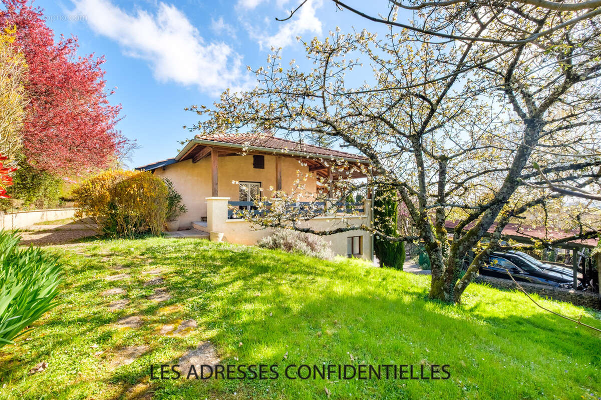 Maison à SAINT-CYR-AU-MONT-D'OR