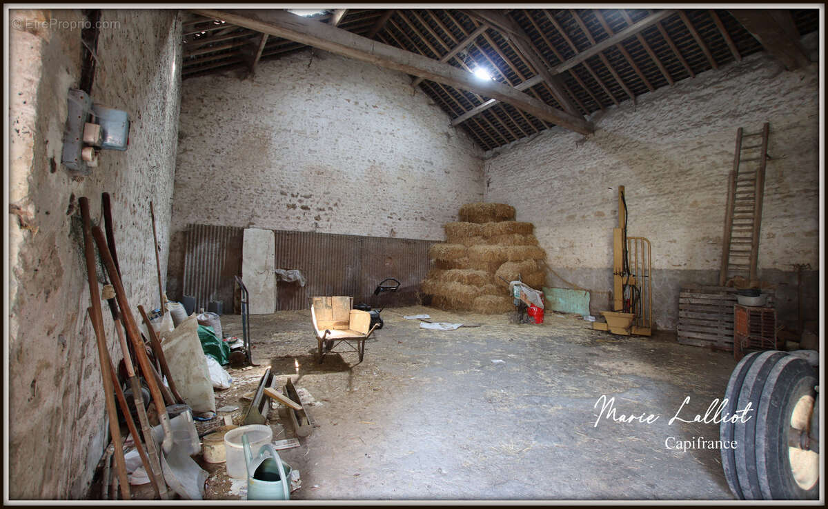 Corps de Ferme à vendre 9 pièces LA NEUVILLE SUR ESSONNE (45), Grange, Terrain Clos - photo 4