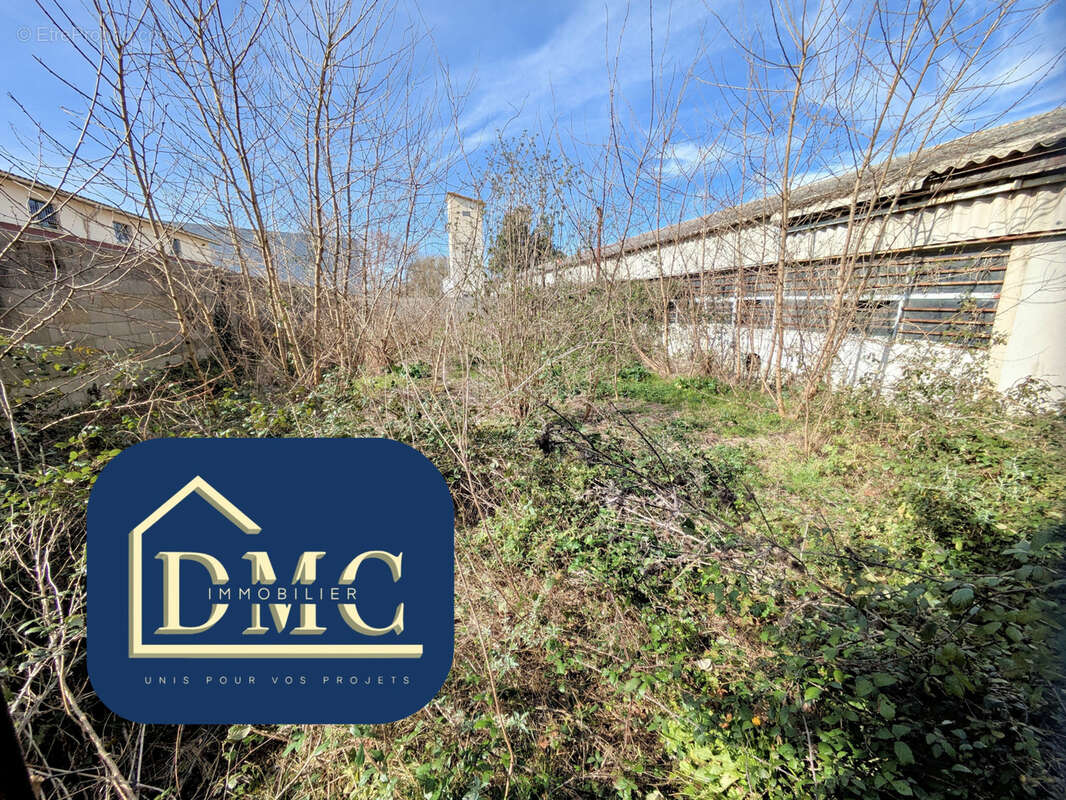 Local Professionnel - photo 10