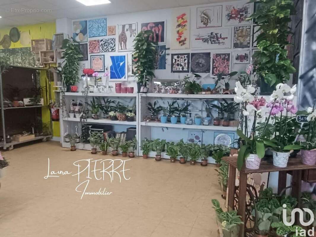 Photo 5 - Commerce à HEROUVILLE-SAINT-CLAIR