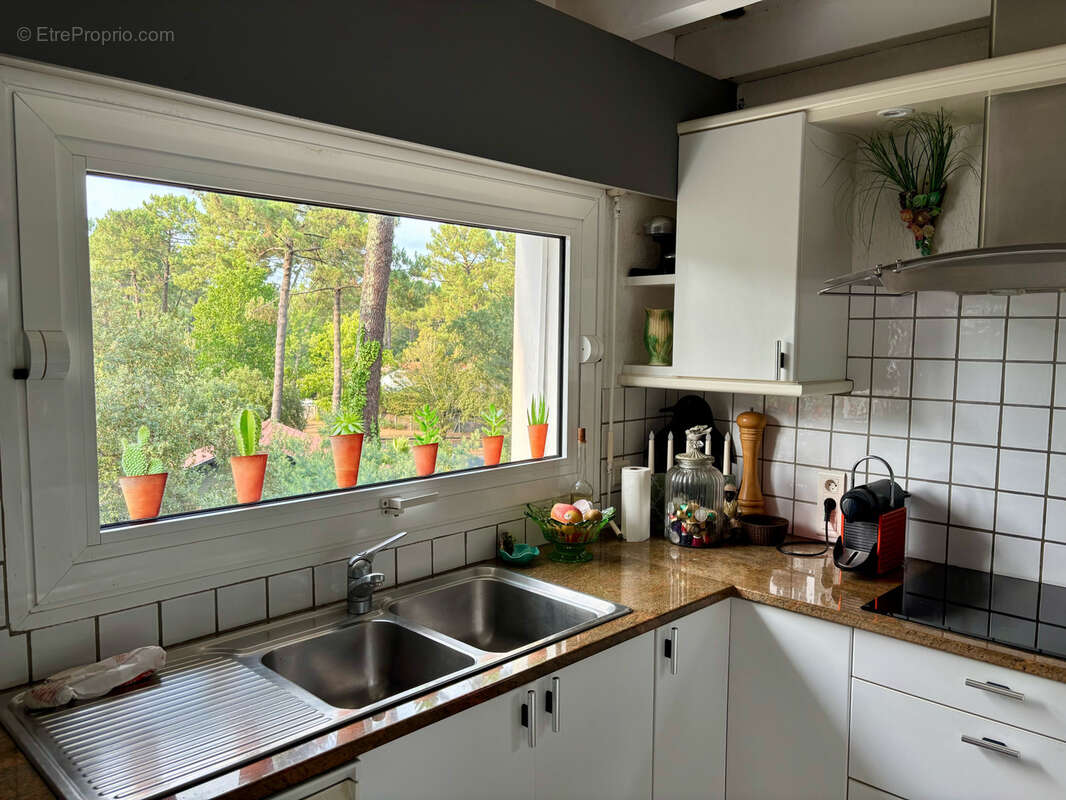 Villa d’architecte perchée dans les arbres avec piscine et vue panoramique - photo 10