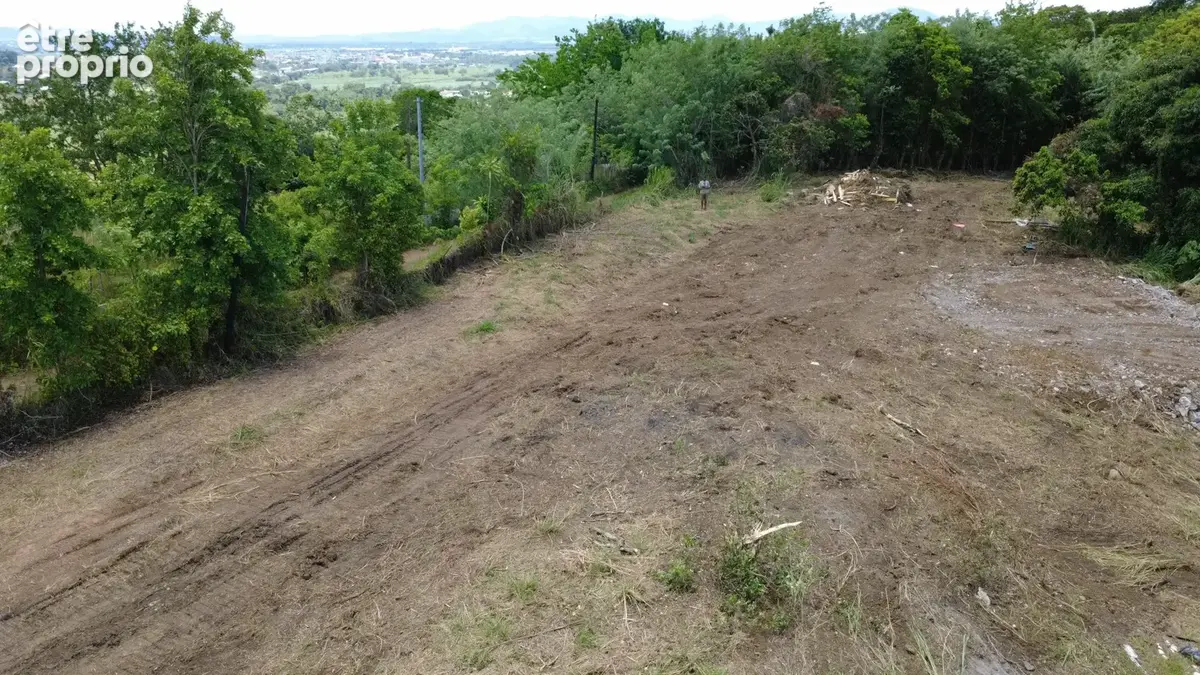 Terrain 1 485 m² à vendre à Le Lamentin (97232) - photo 3