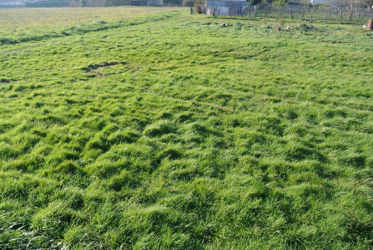 Terrain à MARMANDE