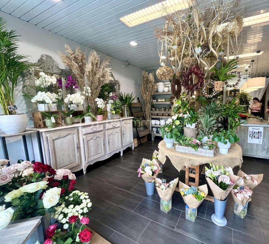 Commerce à SAINTE-ADRESSE