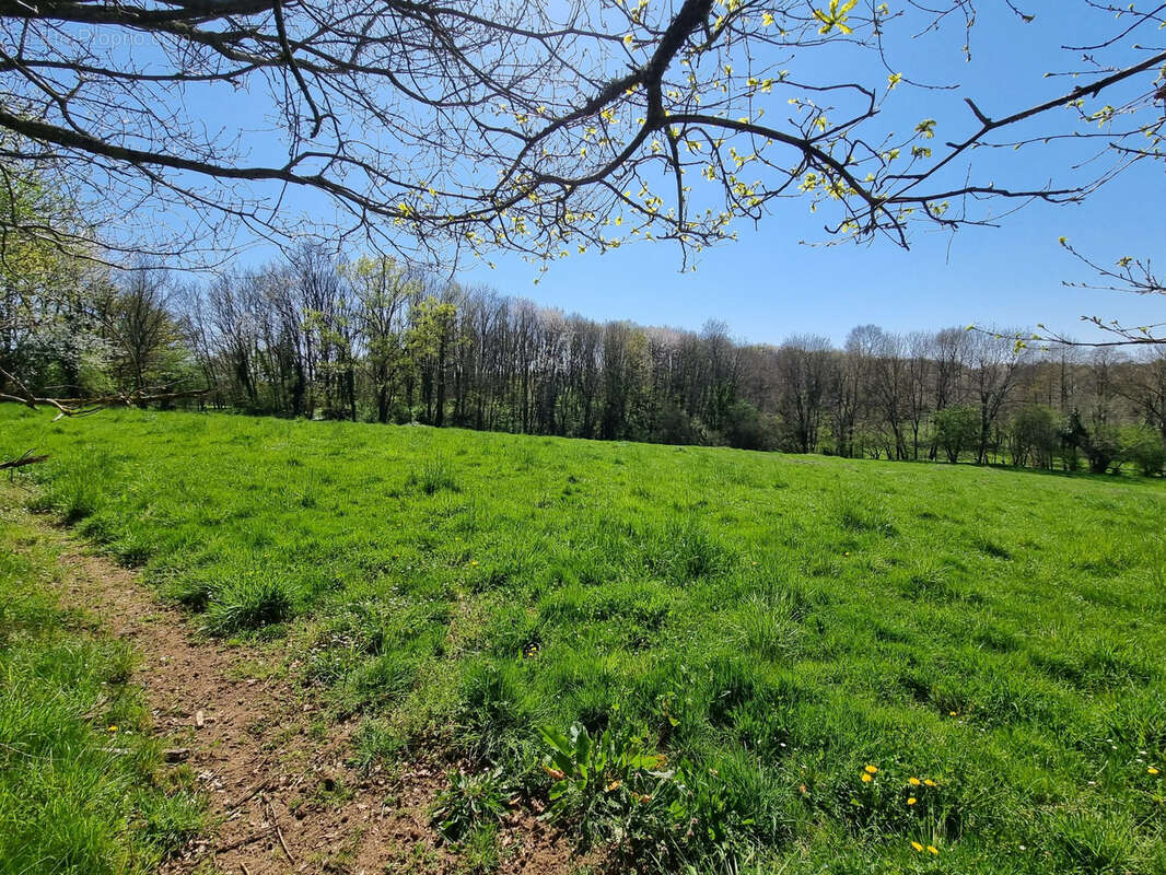 Maison à CHASSIGNOLLES