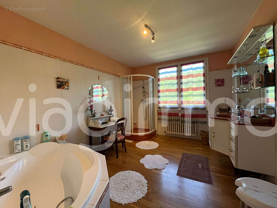 Viager occupé à LENTIOL (38270) - photo 8