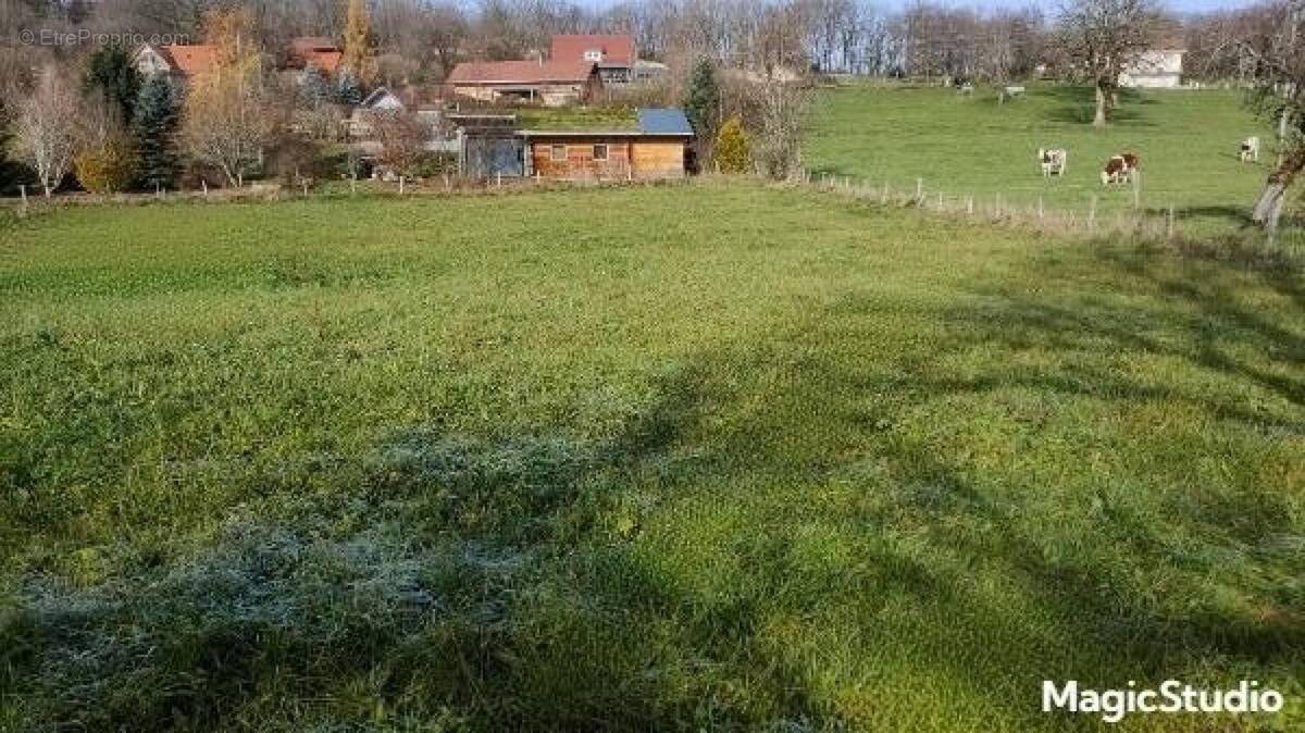 Photo 1 - Terrain à SAINTE-ANNE