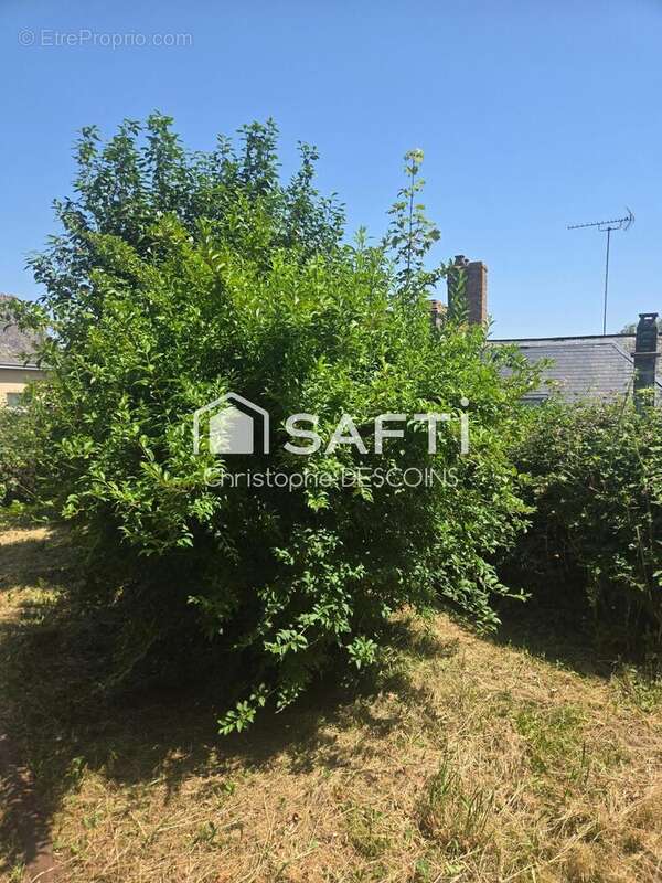 Maison 130 m² à Vautorte  - photo 5