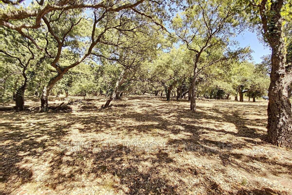 Terrain à GRIMAUD