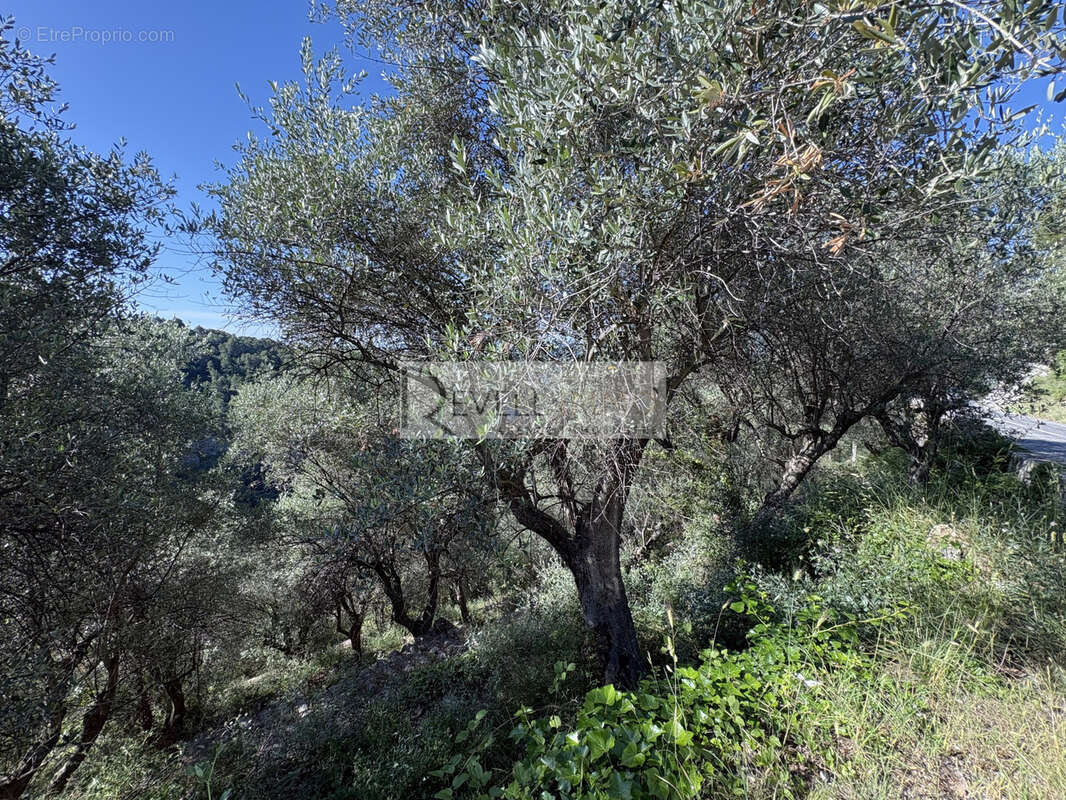 Terrain à LA ROQUETTE-SUR-VAR