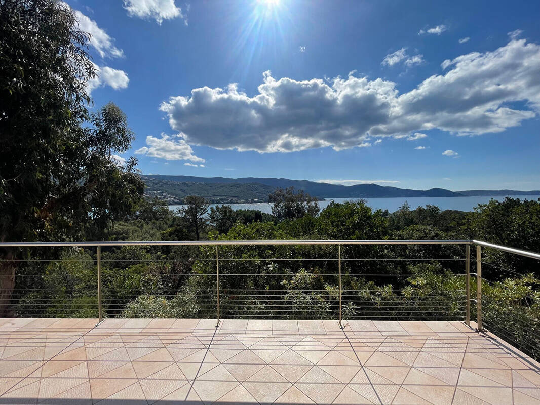 Autre à PIETROSELLA