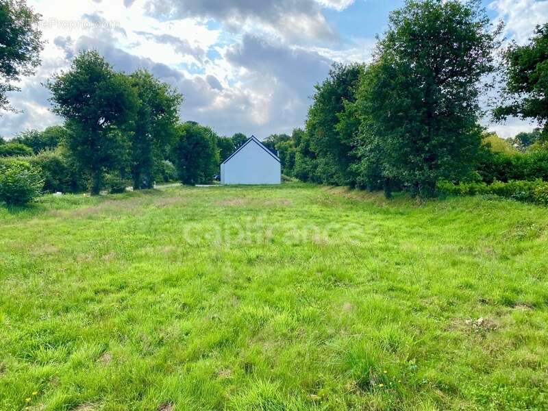 Terrain à LA TRINITE-SURZUR