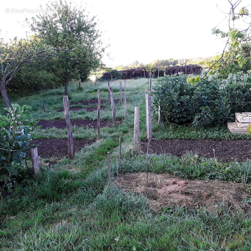 Propriété de 2.5ha avec Maison rénovée, dépendances, Vue Pyrénées - photo 7
