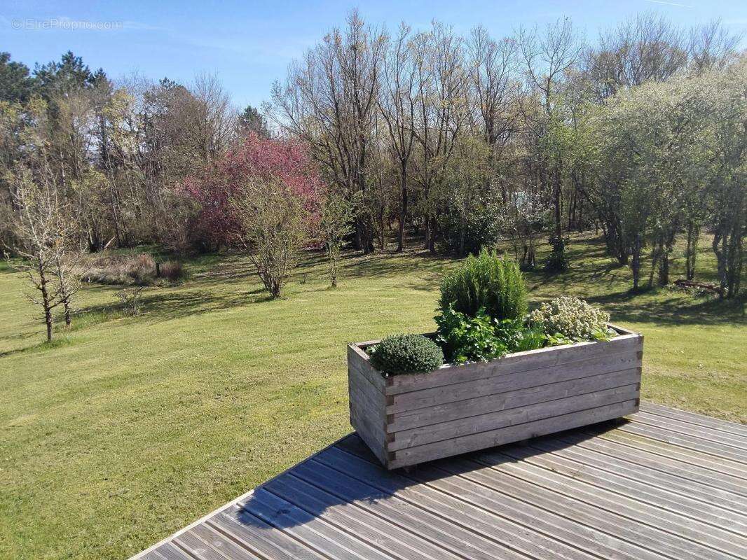 Maison à LA ROCHE-POSAY