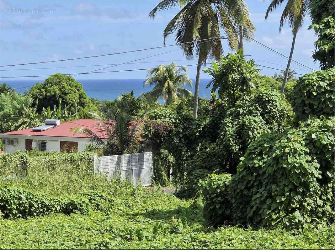 Terrain à CAPESTERRE-BELLE-EAU
