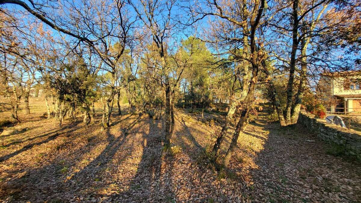 Terrain à LES ASSIONS