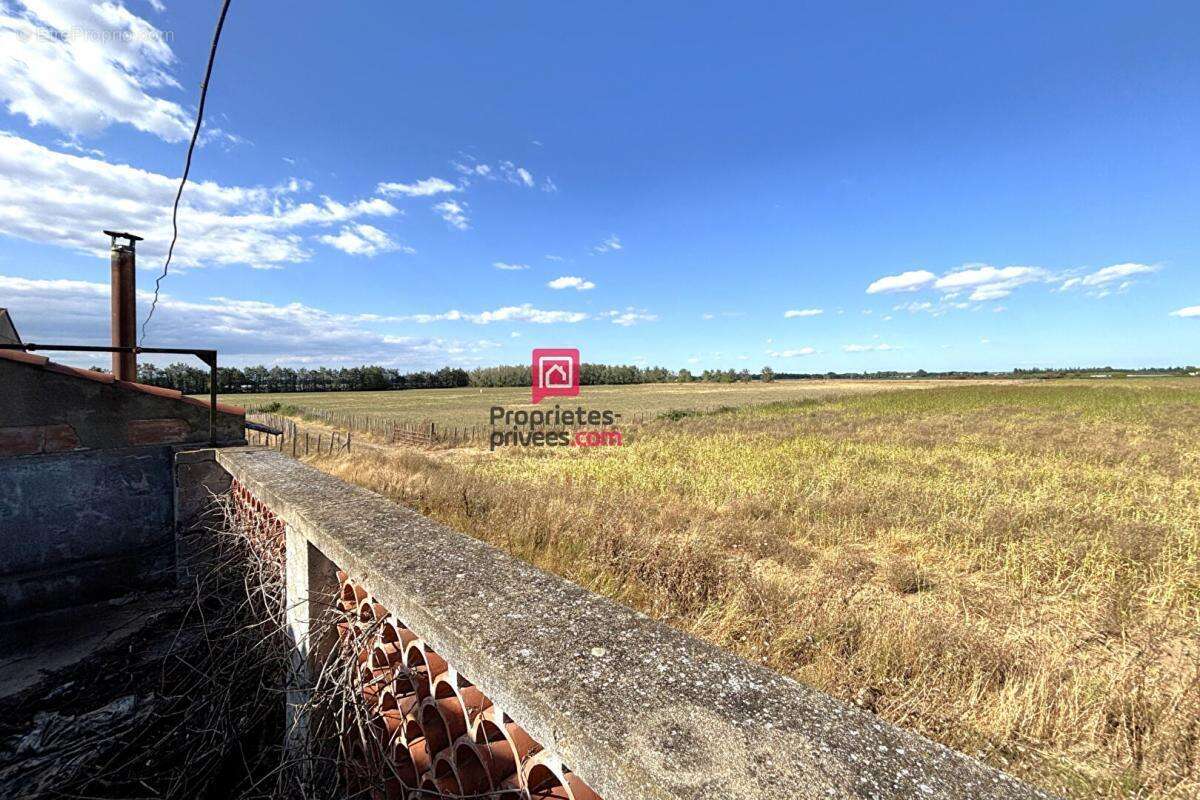Maison à MARSILLARGUES