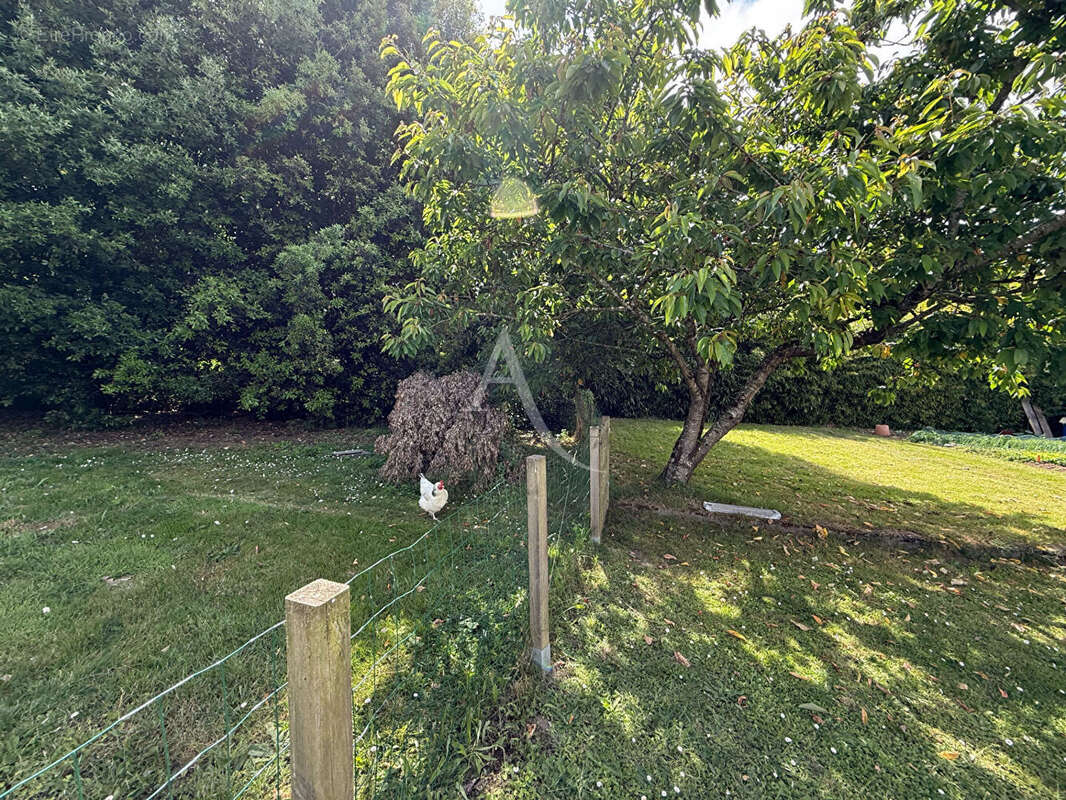 Terrain à COMMEQUIERS