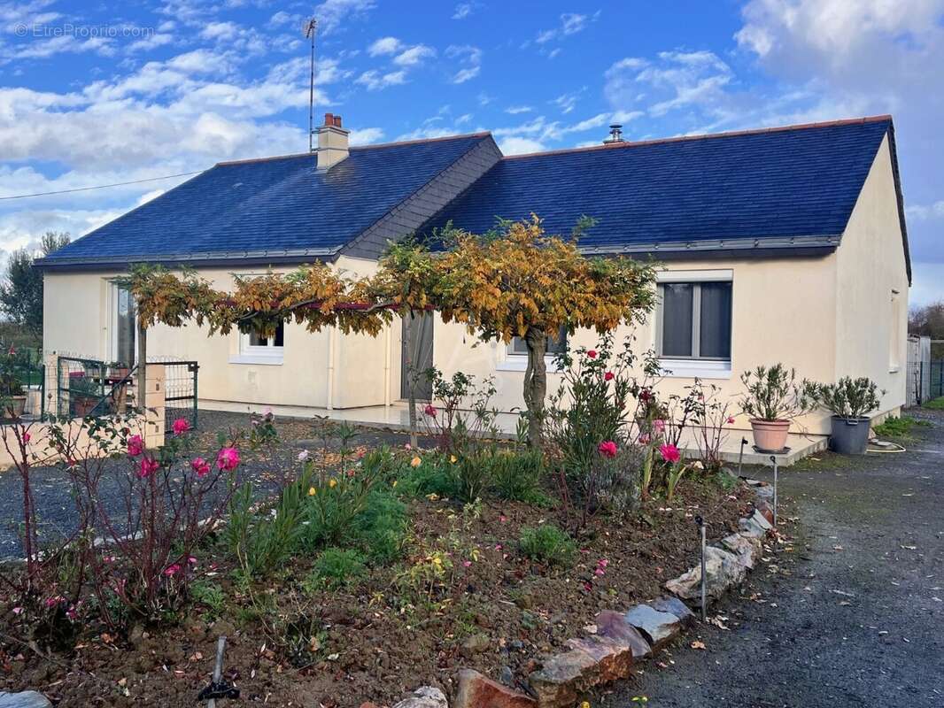 Maison à LE LION-D&#039;ANGERS