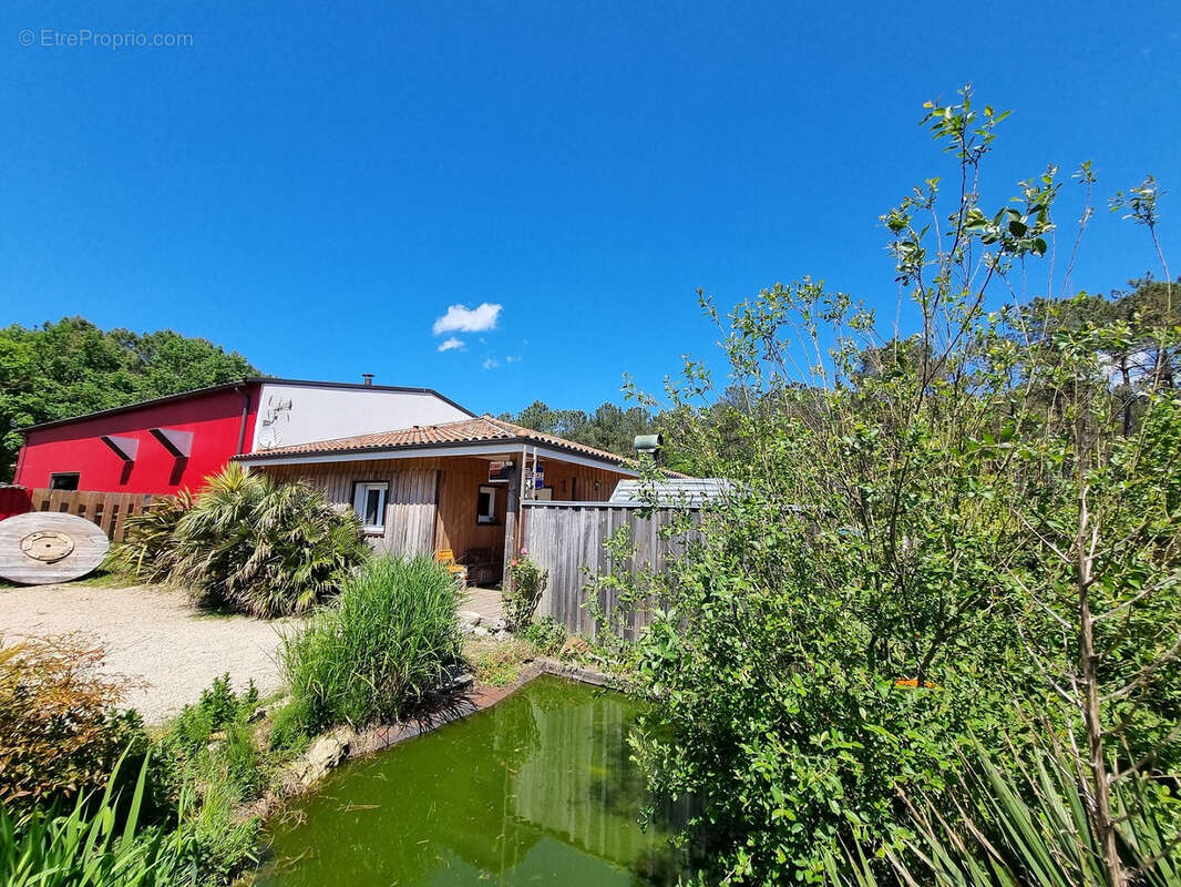 Maison à SAINT-JULIEN-EN-BORN