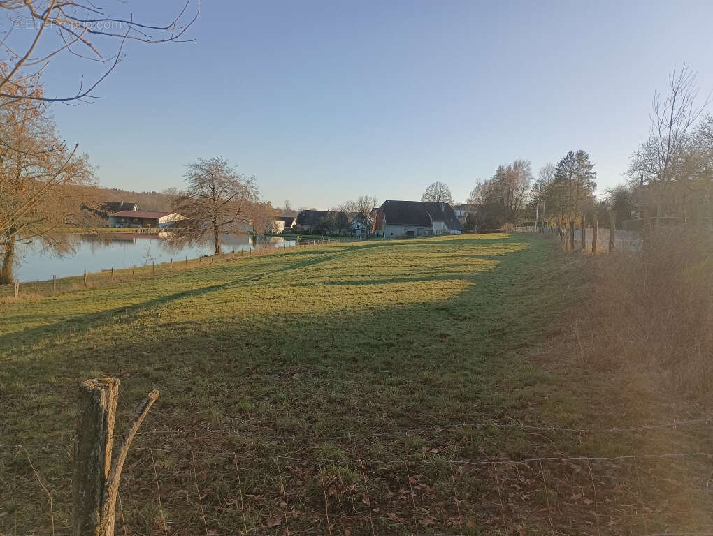 Terrain à ANGEOT