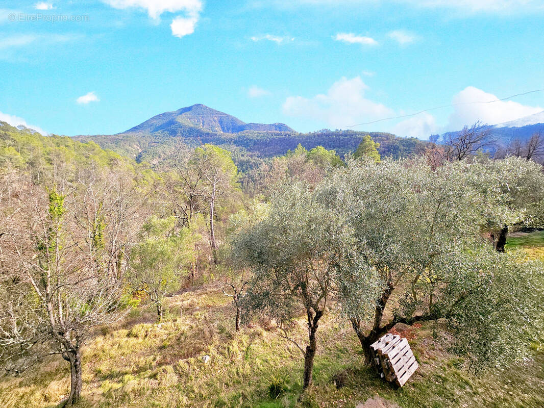 Maison à ROQUESTERON