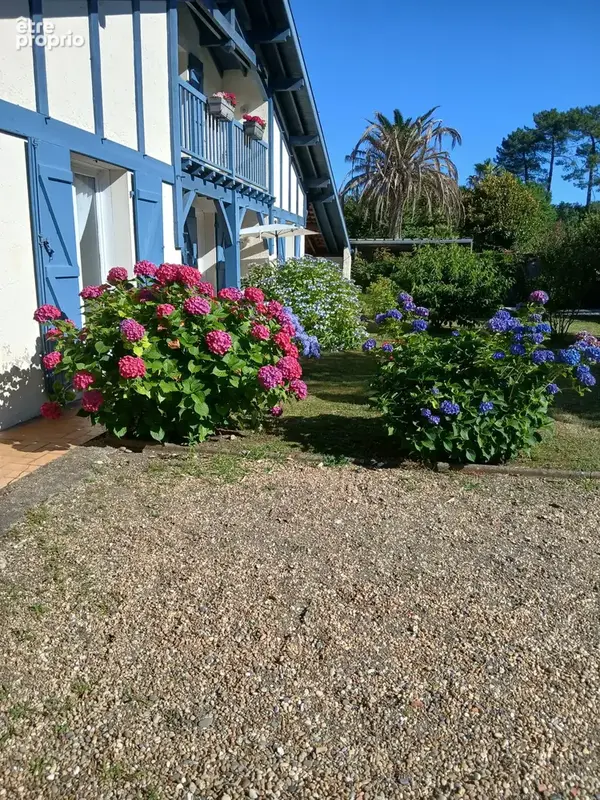 Belle Villa Landaise avec charme et caractère dans un quartier calme et proche centre ville - photo 12