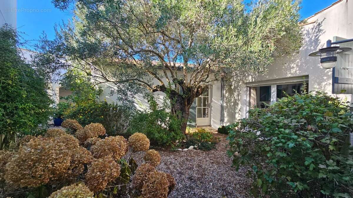 Maison à LA COUARDE-SUR-MER