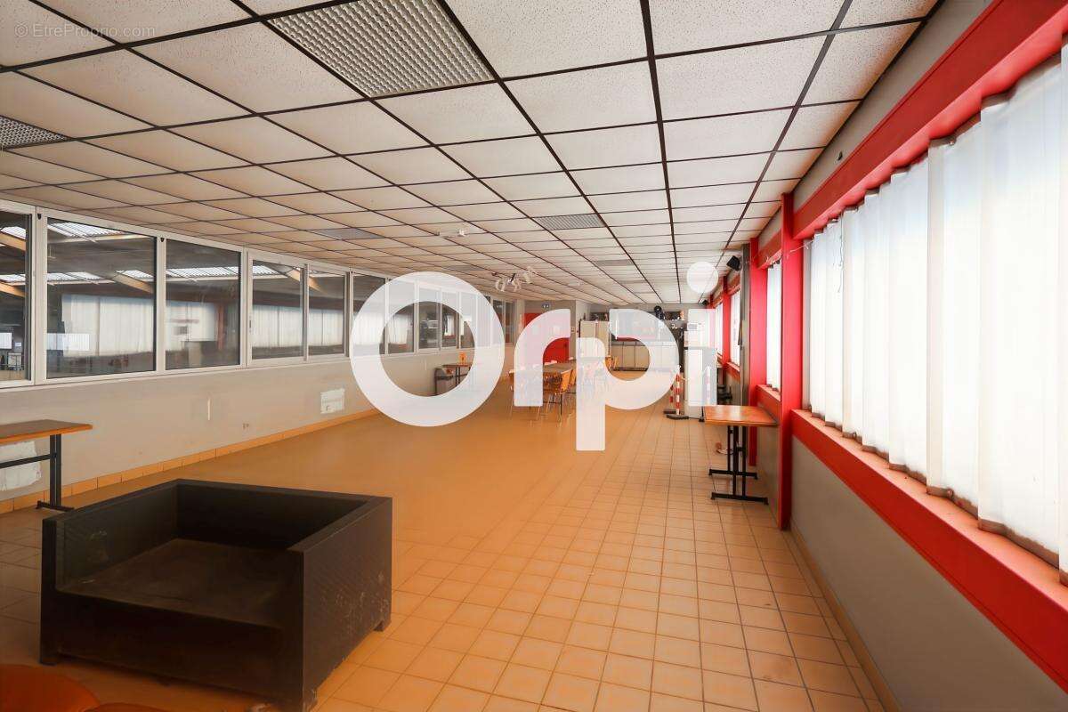 Domaine équestre de 5,5 hectares avec infrastructures de qualité à Cappelle-la-Grande - photo 5