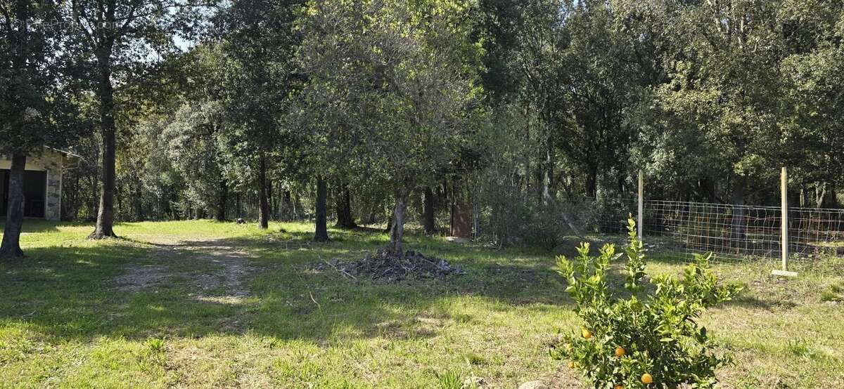 Maison à GHISONACCIA