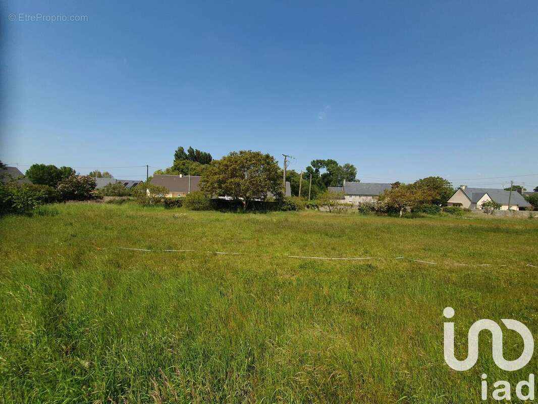 Photo 2 - Terrain à LINGREVILLE