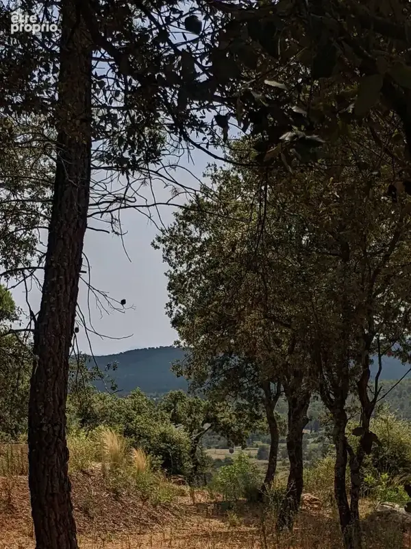 Moissac bellevue, beau terrain dominant au calme. - photo 6