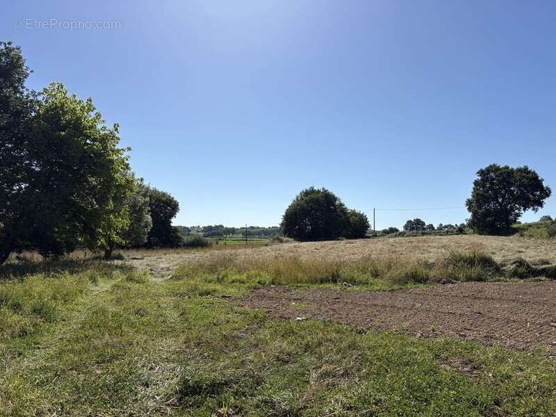 Terrain à ORTHEZ