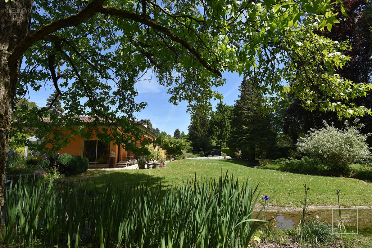 Maison à SAINT-CYR-AU-MONT-D'OR