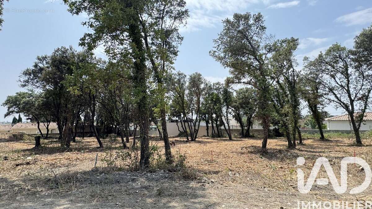 Photo 3 - Terrain à BEDARRIDES