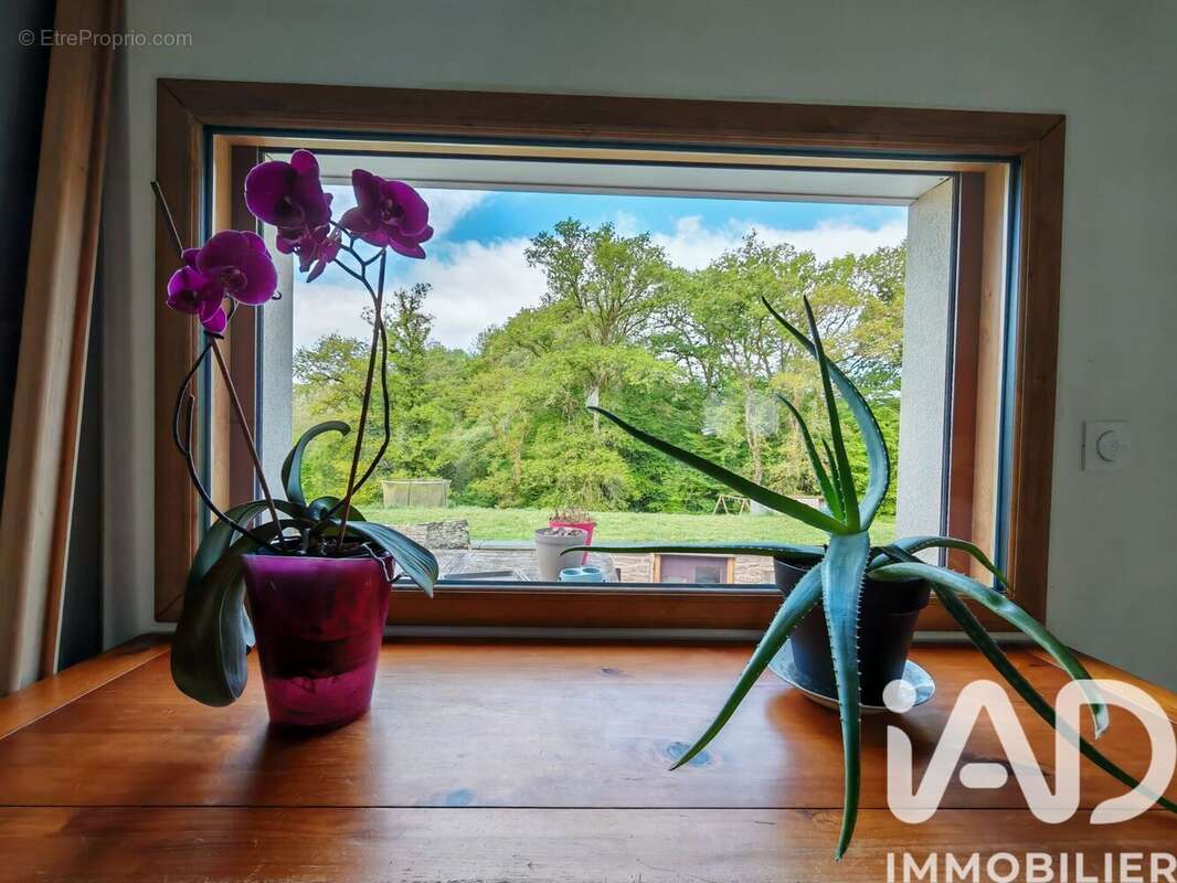 Photo 8 - Maison à PLELAN-LE-GRAND