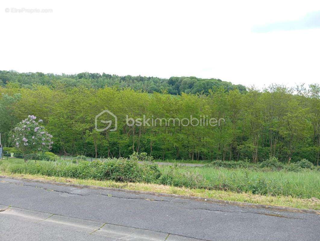 Terrain à POURU-AUX-BOIS