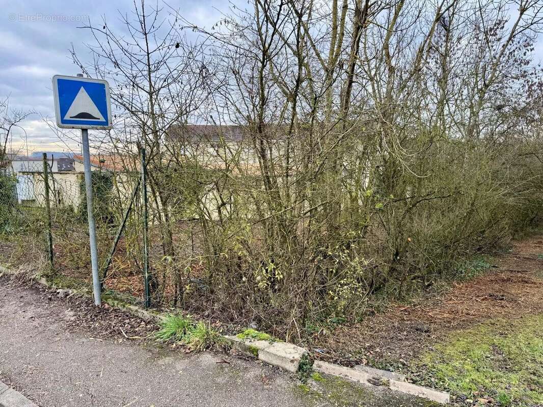 Terrain à FAULQUEMONT