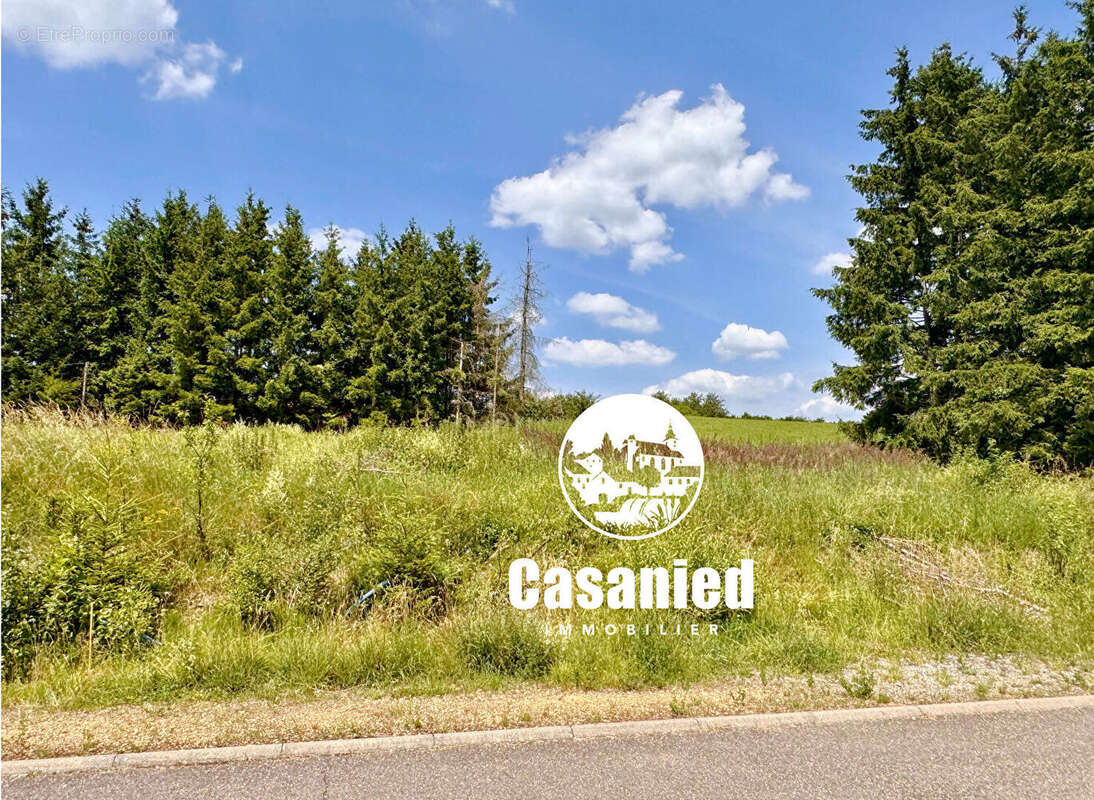 Terrain à OBERDORFF