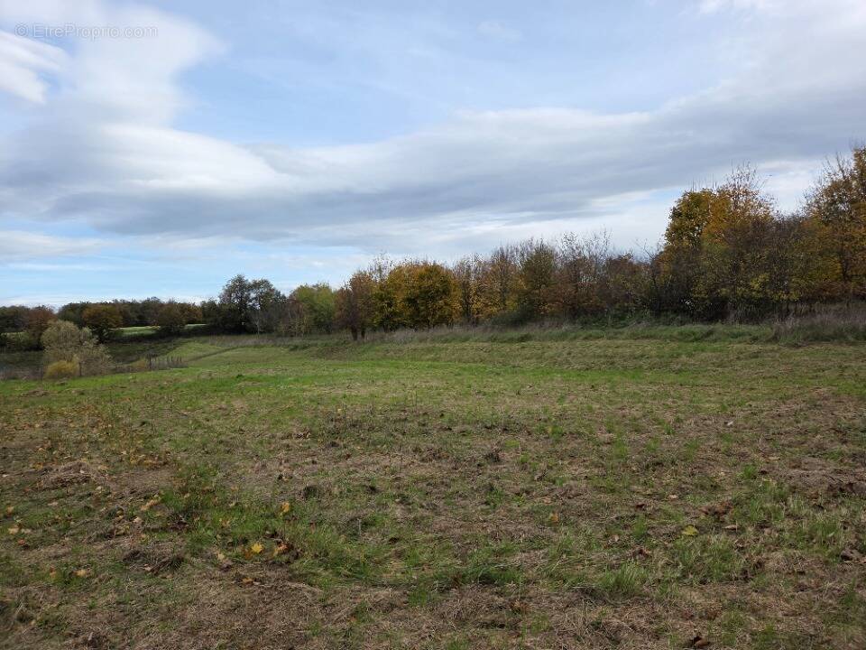 Terrain à BELIGNEUX