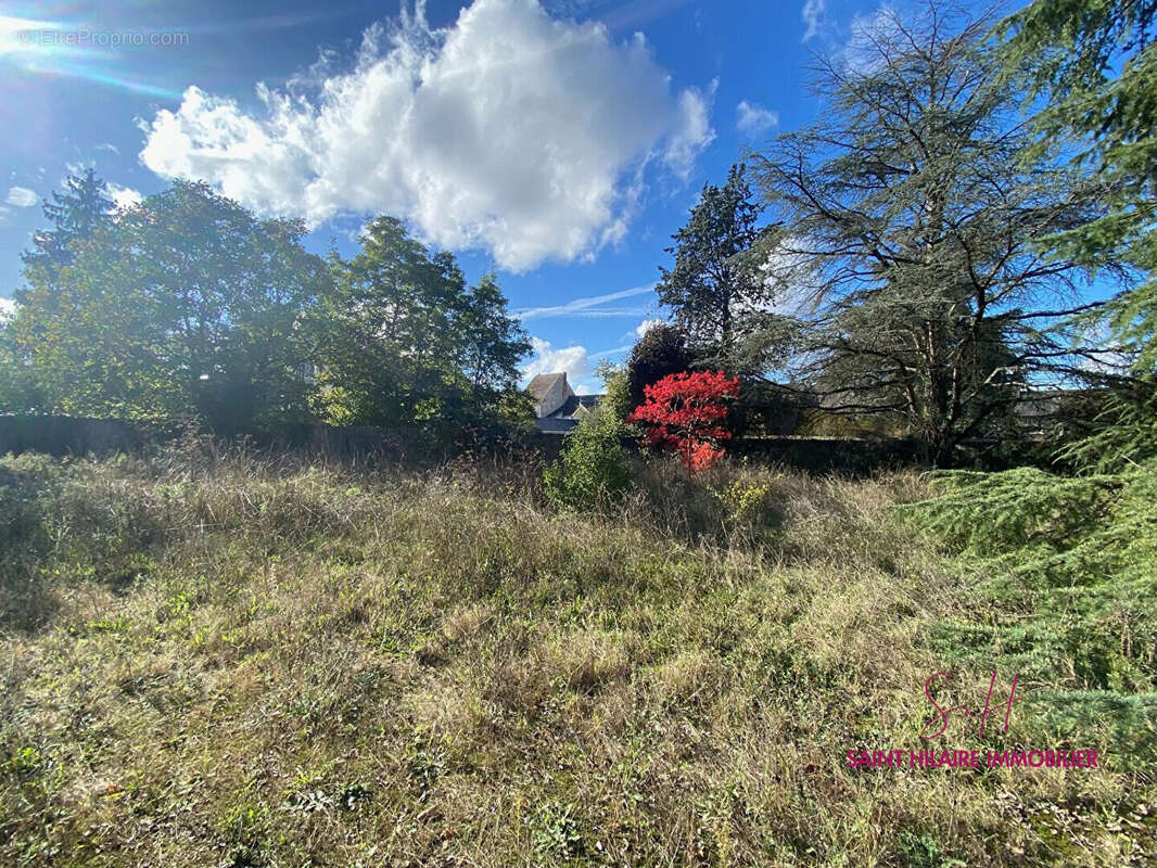 Terrain à CLERY-SAINT-ANDRE